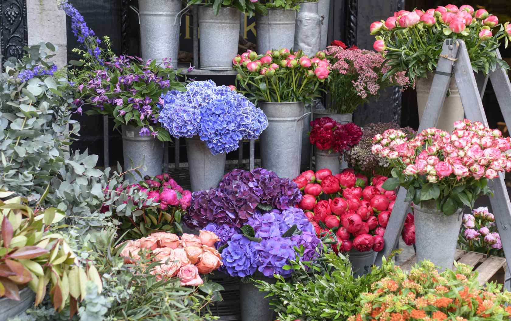 London flower shop