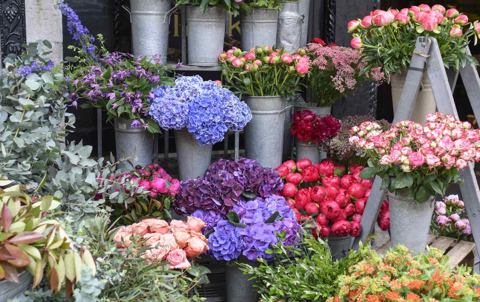 London flower shop