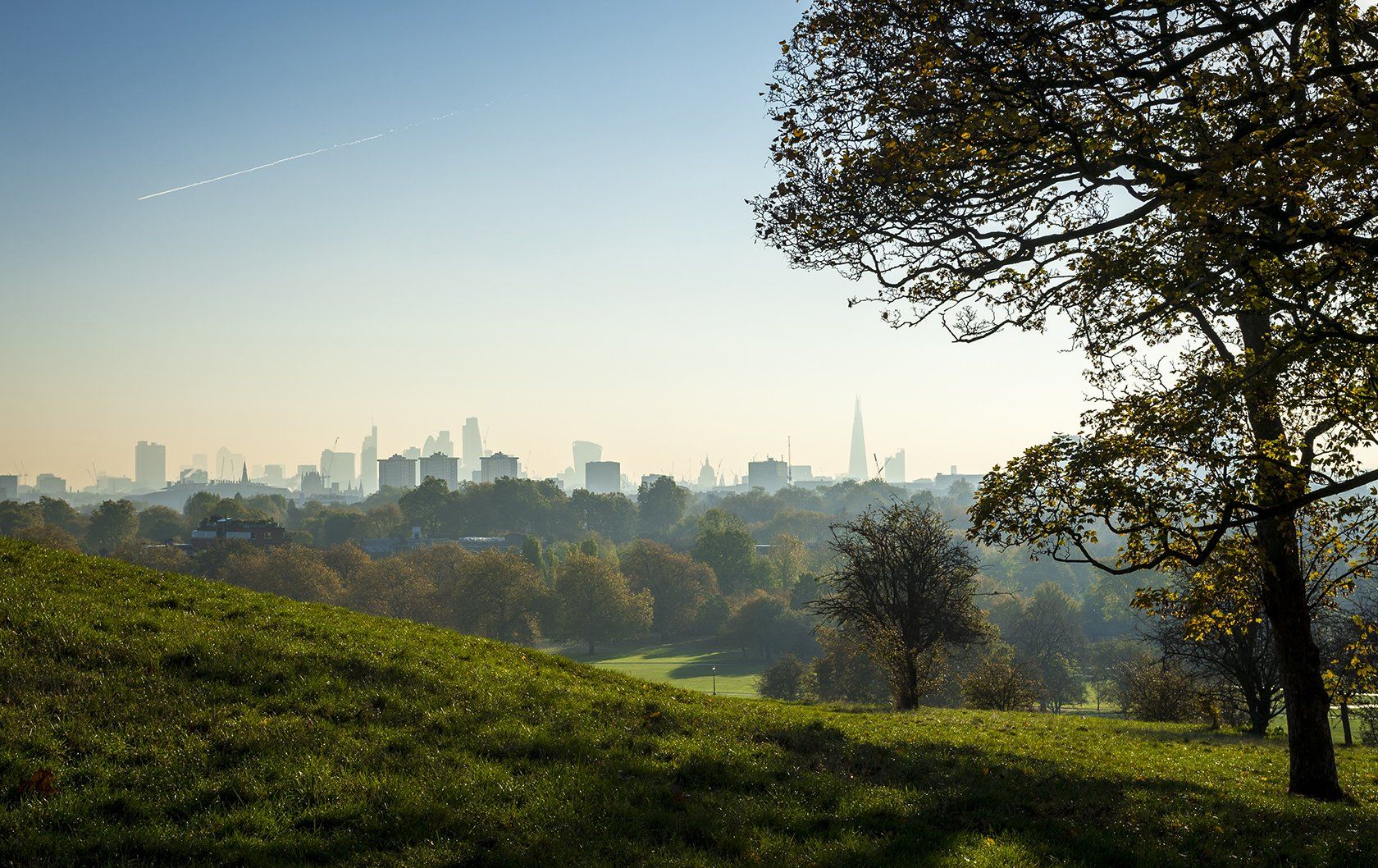 Beautiful view of London's skyline from Primrose Hill