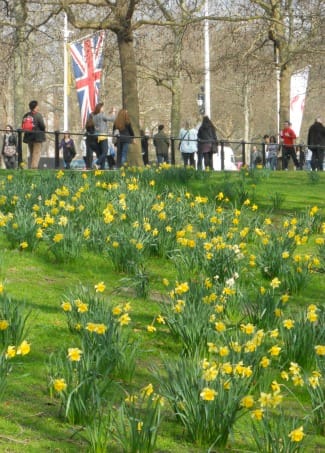 Spring in St James Park London