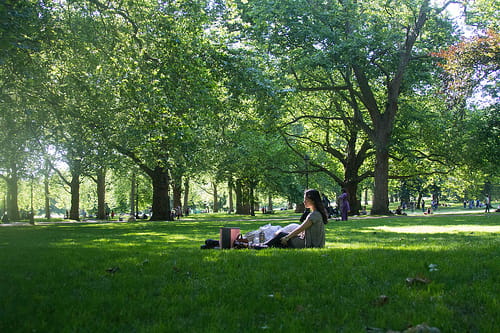 An August picnic in London's lovely Green Park