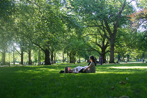 An August picnic in London's lovely Green Park