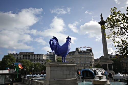Blue Cock in Trafalgar Square