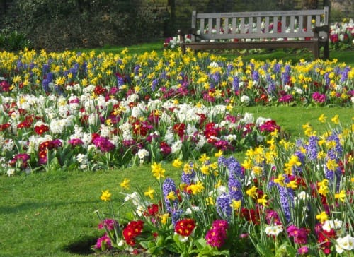 Spring in Kensington London St Mary Abbots Church Garden
