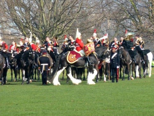 London Hyde Park Drum Horse with Household Cavalry