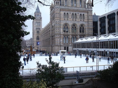 Have fun ice skating in London at the Natural History Museum in South Kensington!