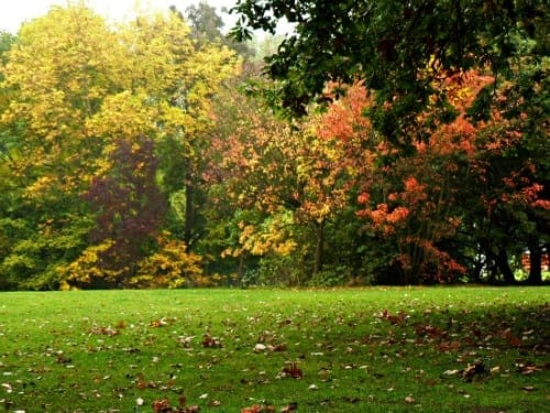 London Parks Alexandra Palace Park