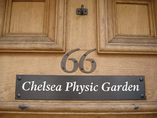 Chelsea Physic Garden London Christmas Fair