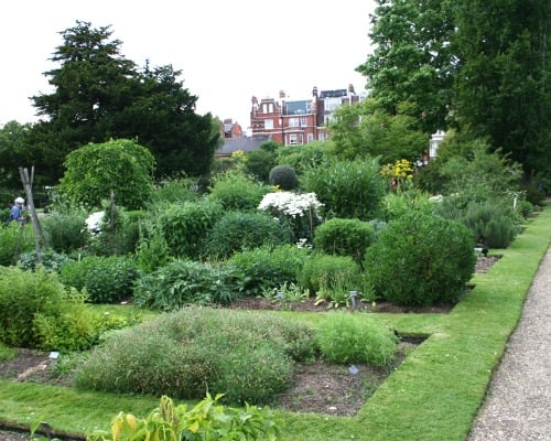 Chelsea Physic Garden London