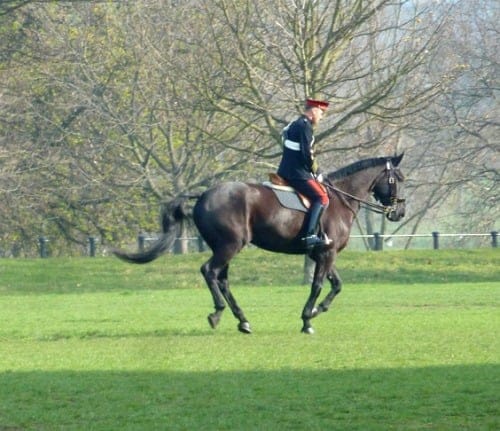 Household Cavalry Mounted Regiment Practice for Inspection