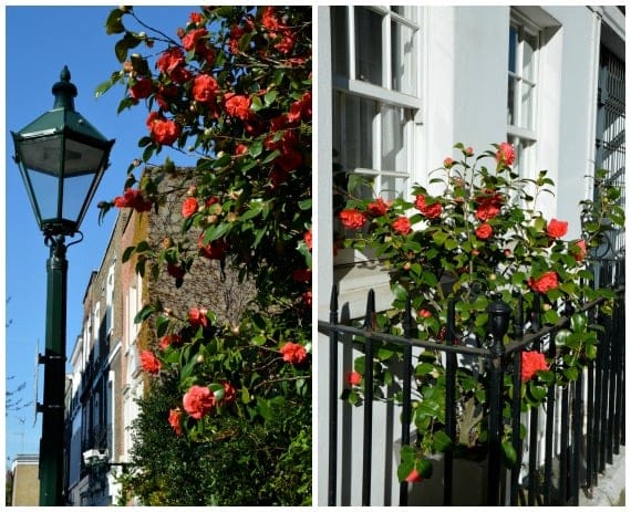 Chelsea London in the Spring