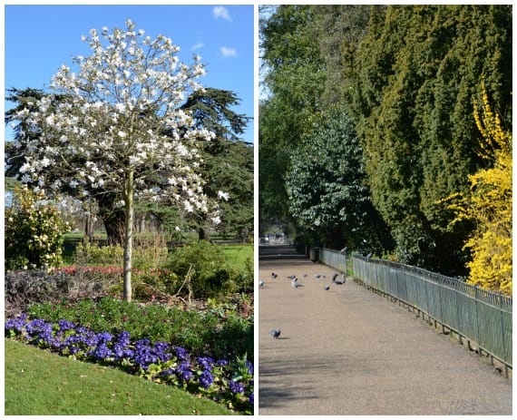 Kensington Gardens London Spring Blossoms and Colours