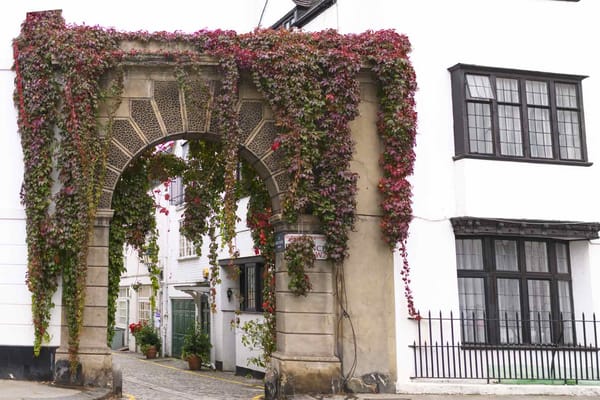 Picturesque and Private: The Best Mews Rentals in London by London Perfect