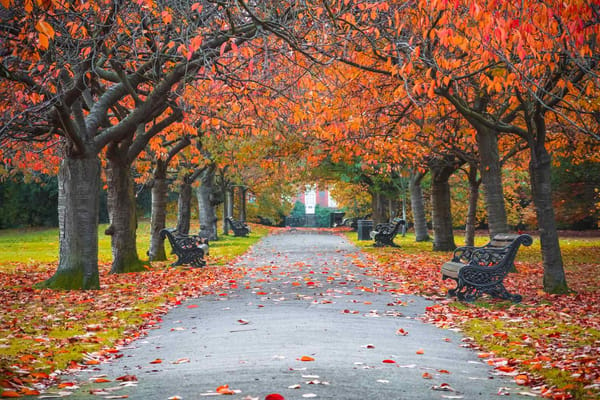 London park autumn