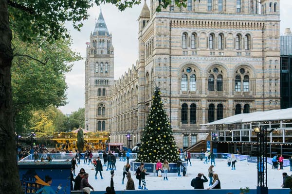 Natural History Museum London Ice Rink