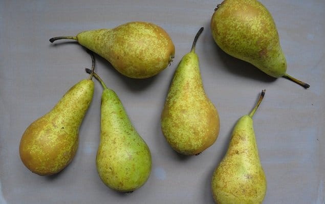 \"Pears\"