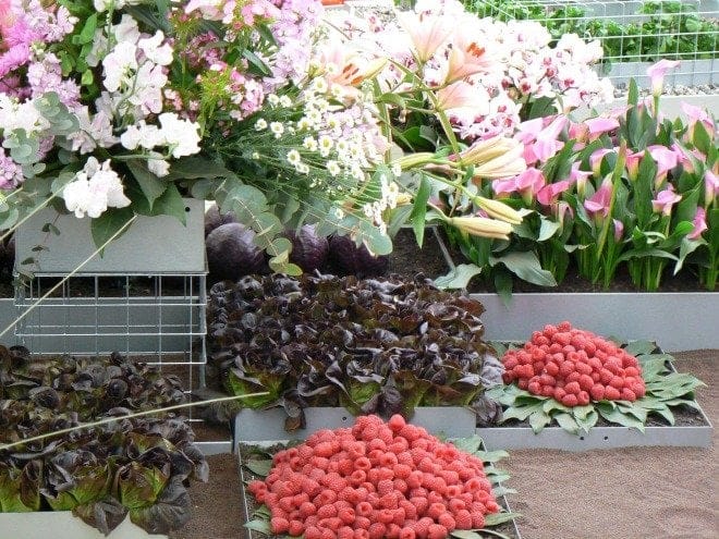 Chelsea Flower Show Fruit and Vegetables