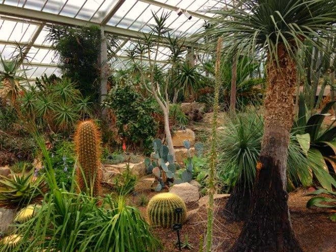 Inside the Princess of Wales Conservatory. 
