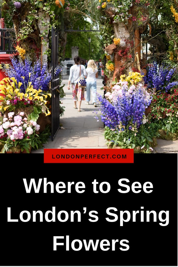 Where to See London’s Spring Flowers by London Perfect