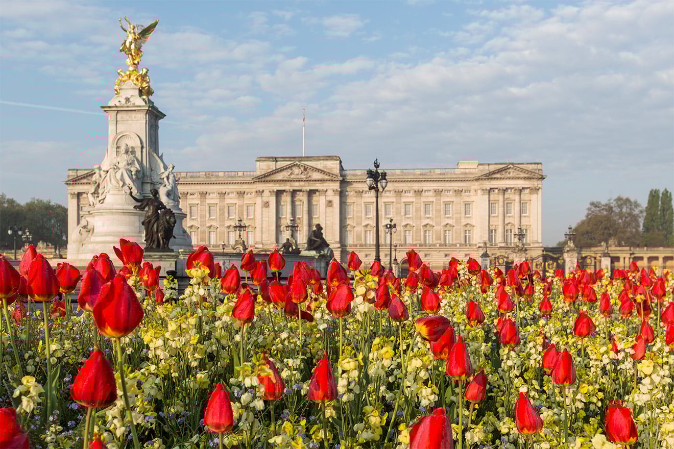 Belgravia Three Bedroom Vacation Rental in London